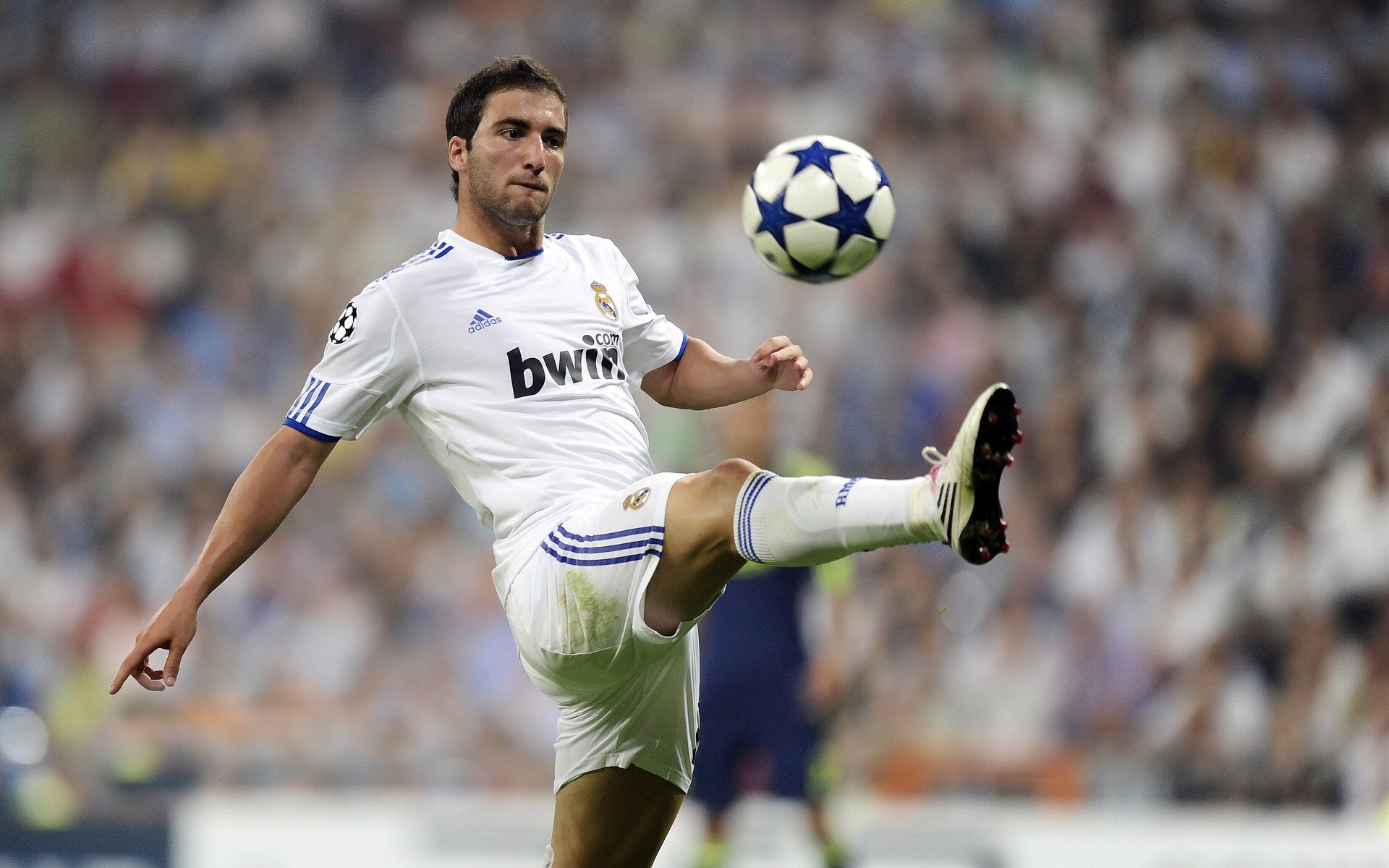 克罗地亚反曲弓选手在2024年欧洲射箭锦标赛中表现出色，克罗地亚反器材步枪